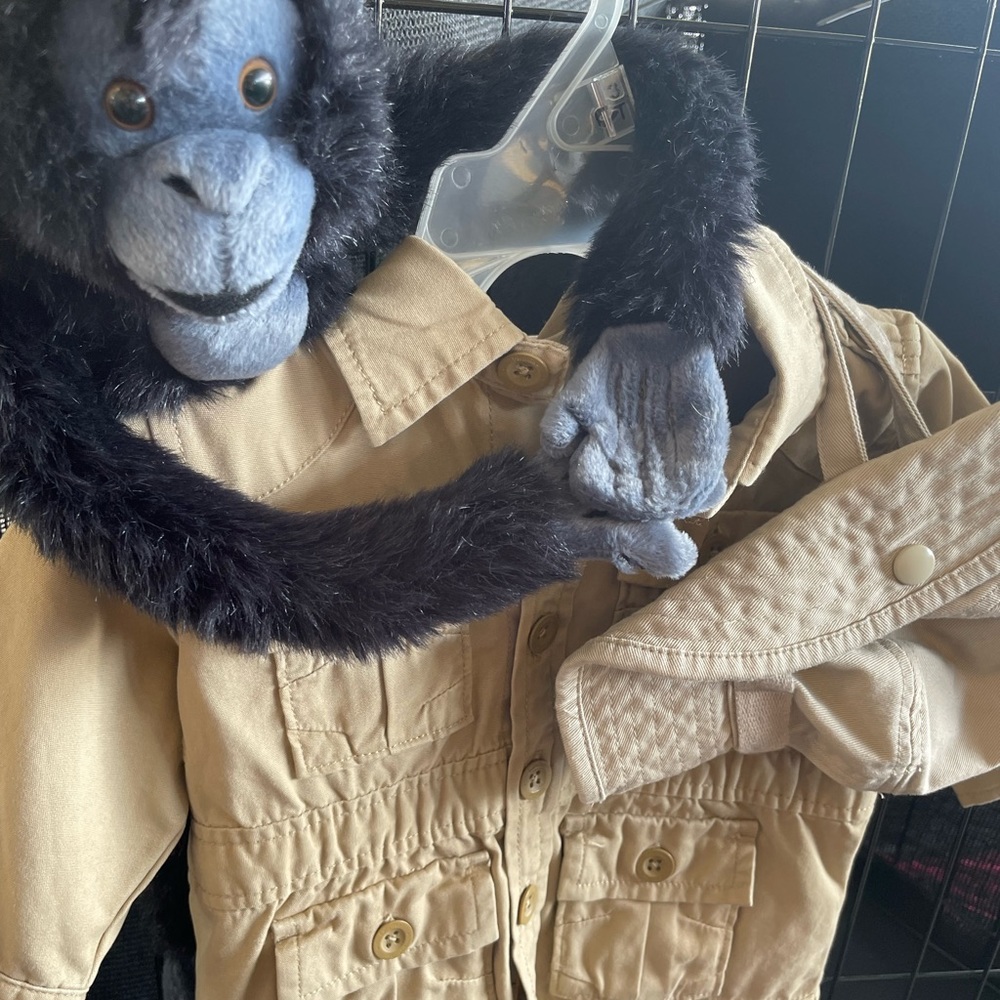 NWT baby GAP safari jacket and hat, Monkey not included. Sibling outfit, mombaby